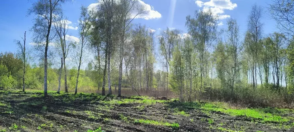 Участок 5,7 сот. (СНТ, ДНП) - Фото 0