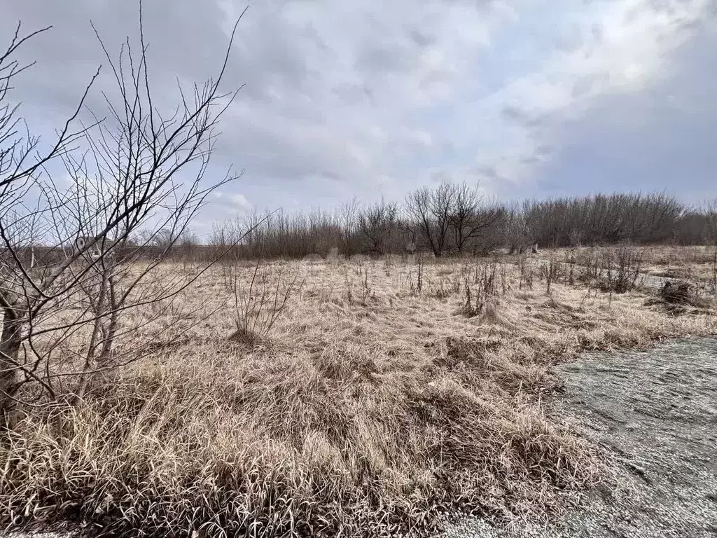 Участок в Белгородская область, Старый Оскол Фиалка садовые участки, ... - Фото 0