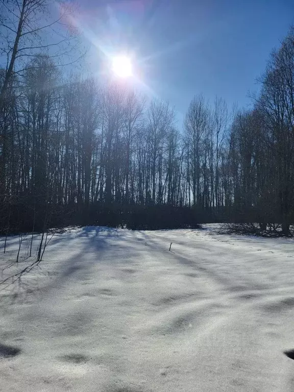 Участок в Ленинградская область, Выборг проезд Средний Лесной, 11 ... - Фото 2