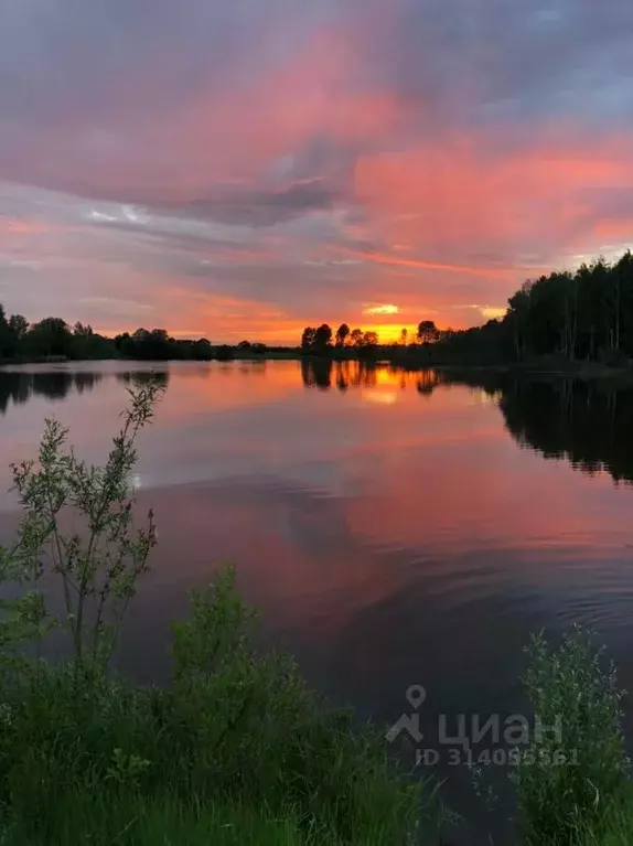 Участок в Смоленская область, Гагаринский муниципальный округ, ... - Фото 0