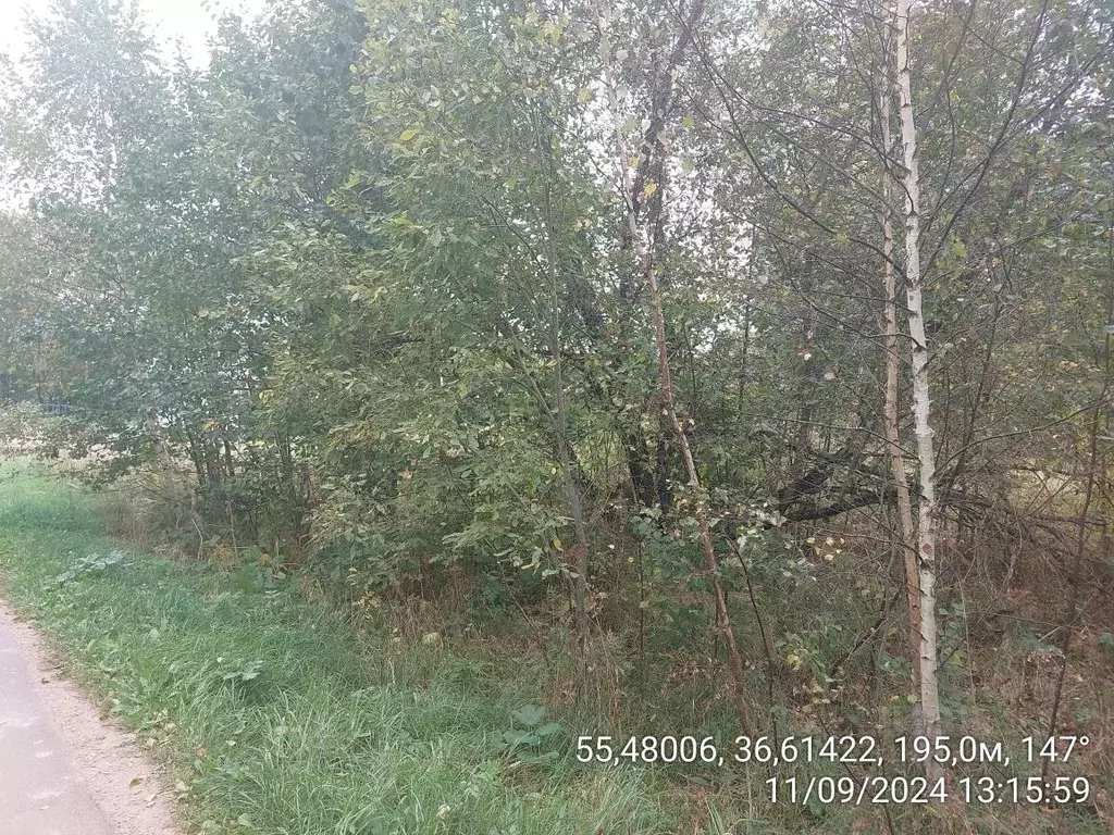 Участок в Московская область, Наро-Фоминский городской округ, д. ... - Фото 0