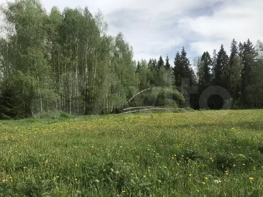 Участок 15 сот. (ИЖС) - Фото 0