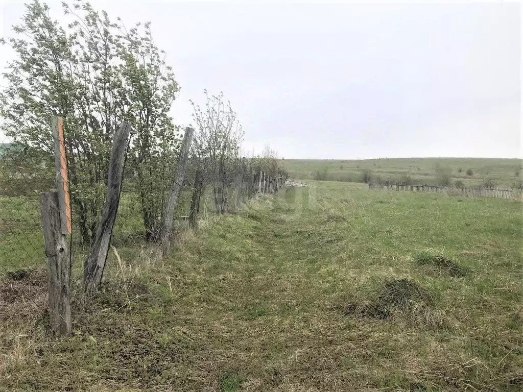 Участок в Башкортостан, Бирский район, Сусловский сельсовет, с. ... - Фото 0