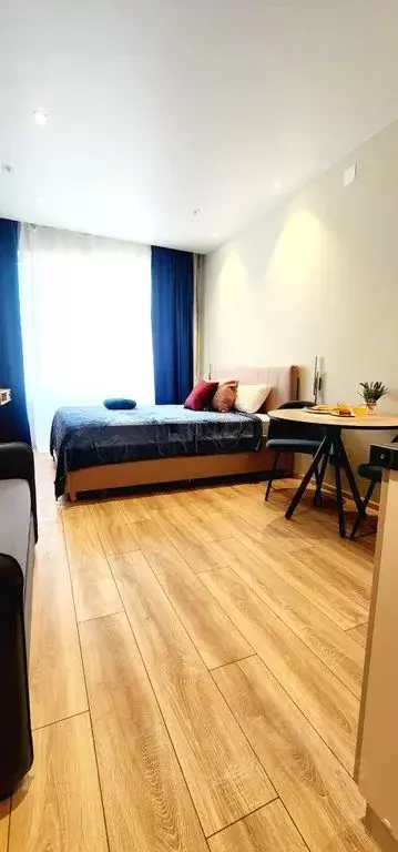 Студия Санкт-Петербург просп. Энергетиков, 8к2 (25.0 м) - Фото 0