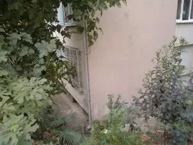 Помещение свободного назначения в Краснодарский край, Сочи Светлана ... - Фото 1