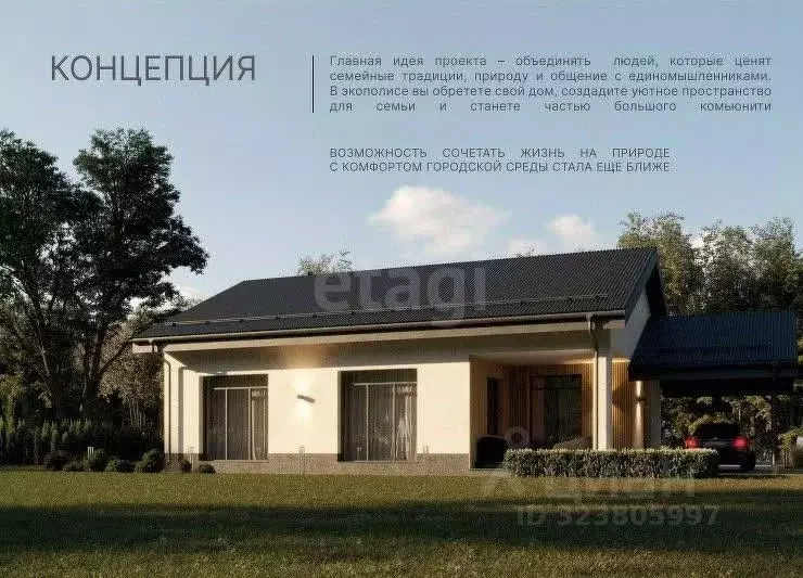 Участок в Воронежская область, Рамонский район, Новоживотинновское ... - Фото 2