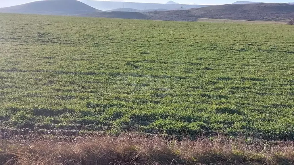 Участок в Крым, Феодосия муниципальный округ, Приморский пгт ул. ... - Фото 1