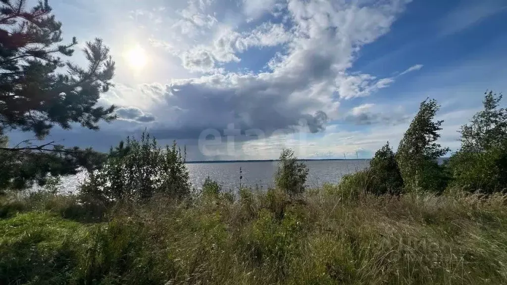 Участок в Нижегородская область, Сокольский муниципальный округ, ... - Фото 1