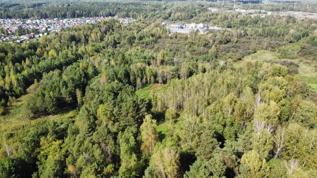 Участок в Томская область, Томск пос. Кузовлево, Пионерская ул., 15/8 ... - Фото 2