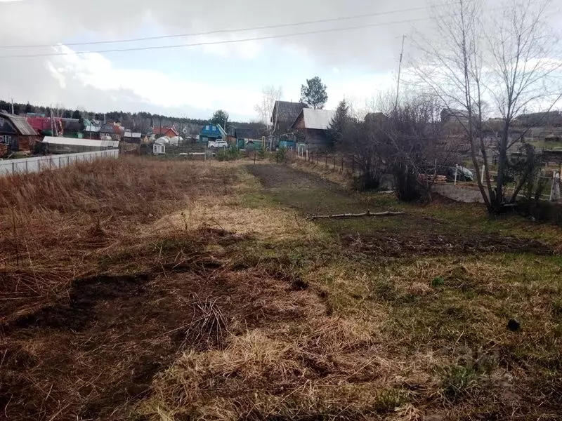 Участок в Новосибирская область, Новосибирский район, с. Кубовая  ... - Фото 1