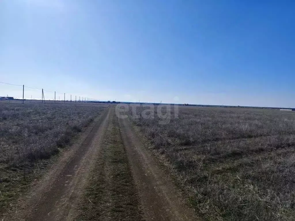 Участок в Крым, Сакский район, Молочненское с/пос, с. Витино  (7.18 ... - Фото 0