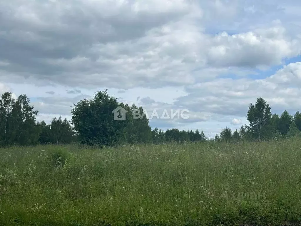 Участок в Нижегородская область, Богородский муниципальный округ, д. ... - Фото 1