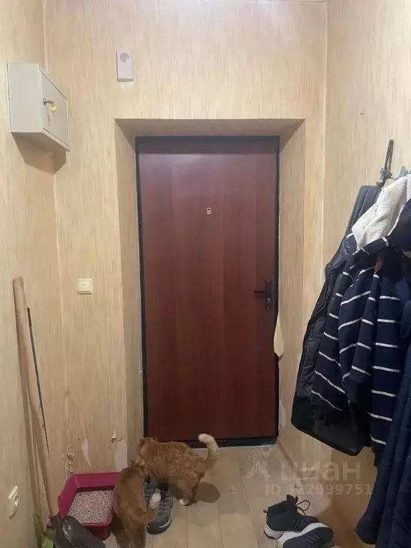 1-к кв. Ненецкий АО, Нарьян-Мар Октябрьская ул., 21 (34.3 м) - Фото 2