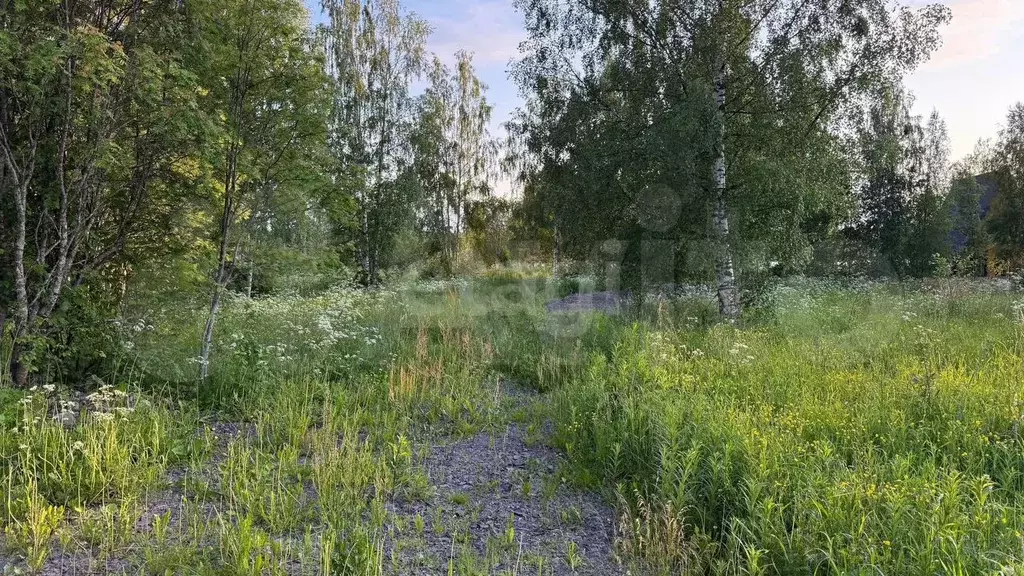 Участок 36,5 сот. (ИЖС) - Фото 0