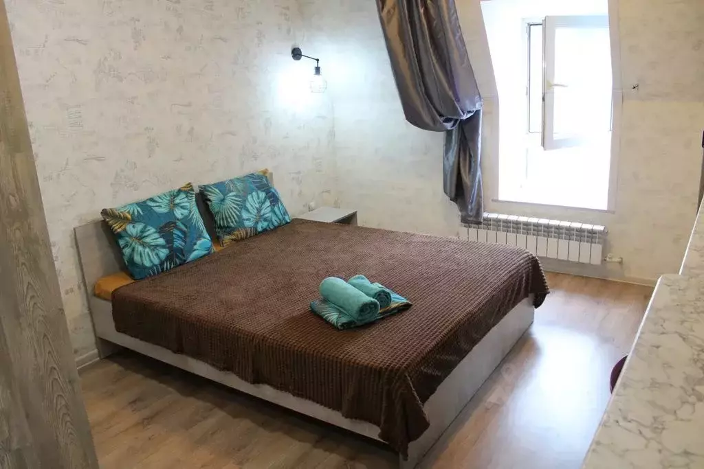 1-к кв. Алтайский край, Барнаул ул. Льва Толстого, 13А (17.0 м) - Фото 0