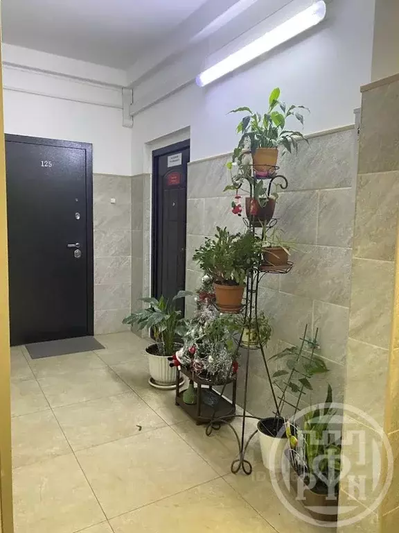 3-к кв. Ленинградская область, Сертолово Всеволожский район, Кленовая ... - Фото 2