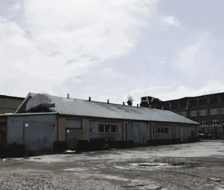 Склад в Кемеровская область, Прокопьевск Сафоновская ул., 28с8 (445 м) - Фото 1