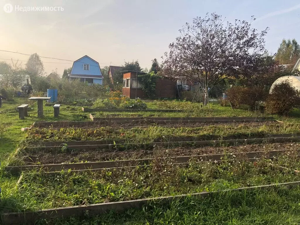 Дом в город Струнино, садовые участки Родник, 46 (20 м), Купить дом в  Струнино, ID объекта - 50011352708