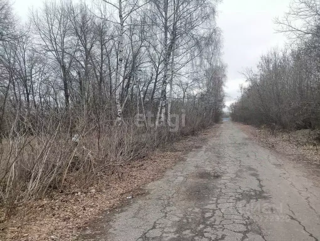 Участок в Курская область, Курский район, Нижнемедведицкий сельсовет, ... - Фото 1