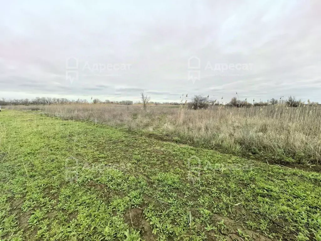 Участок в Волгоградская область, Краснослободск Среднеахтубинский ... - Фото 1