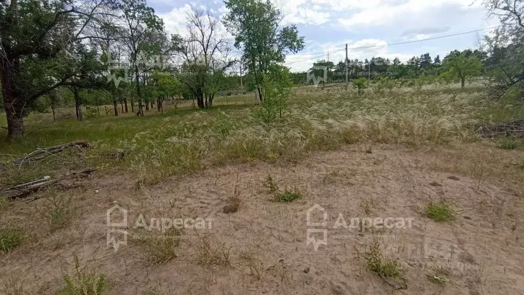 Участок в Волгоградская область, Волгоград ул. Природная (9.2 сот.) - Фото 0