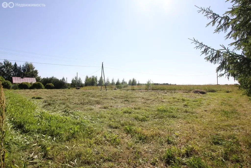 Участок в Вологодская область, Шекснинский муниципальный округ, ... - Фото 1