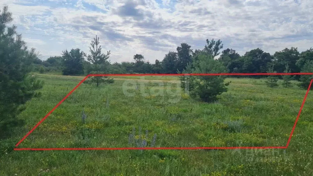 Участок в Белгородская область, Волоконовский район, с. Фощеватово  ... - Фото 1