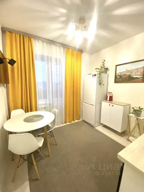 Студия Московская область, Ногинск Богородский городской округ, ул. ... - Фото 1