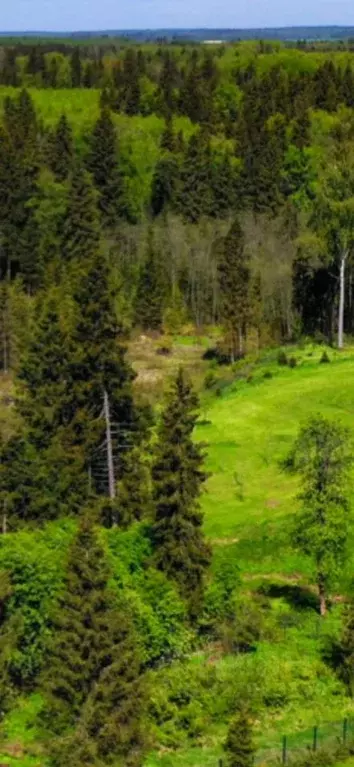 Участок в Московская область, Дмитровский муниципальный округ, д. ... - Фото 2