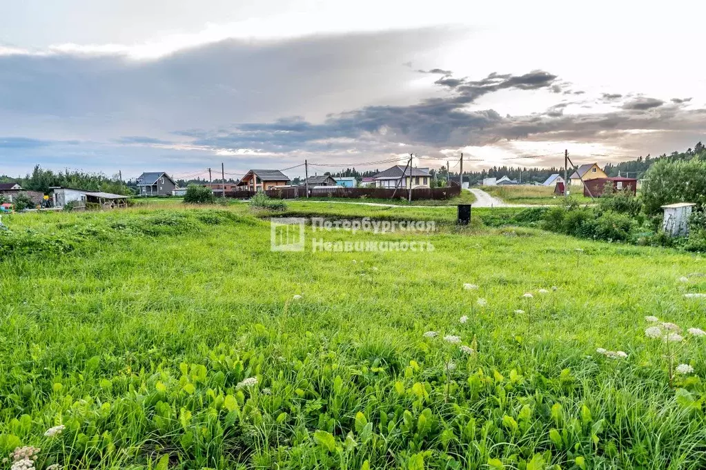 Участок в Ленинградская область, Ломоносовский район, Лопухинское ... - Фото 0