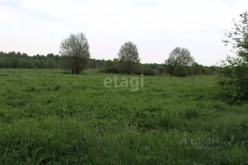 Участок в Вологодская область, Череповецкий район, Ягановское с/пос, ... - Фото 1