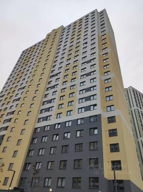 Студия Санкт-Петербург ул. Пахомовская, 12к2 (21.0 м) - Фото 1