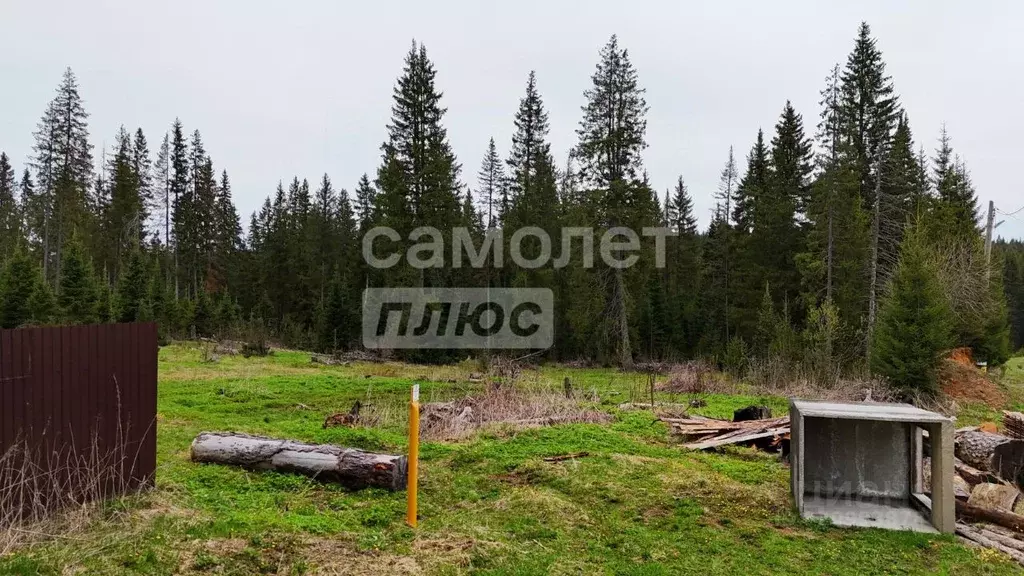 Участок в Челябинская область, Нязепетровск ул. Мира (15.0 сот.) - Фото 0