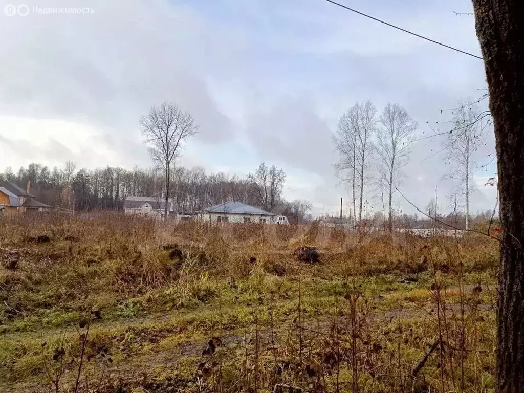 Участок в Тюмень, Центральный округ (15 м) - Фото 2