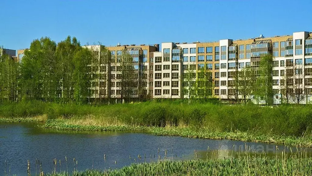 1-к кв. Санкт-Петербург ш. Суздальское, 8 (34.35 м) - Фото 1