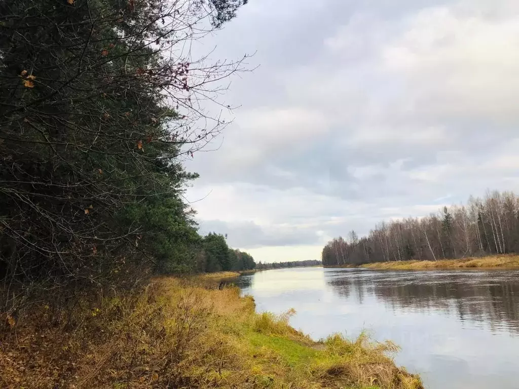 Дом в Тверская область, Максатихинский район, д. Ручки (45.0 м), Купить дом  Ручки, Максатихинский район, ID объекта - 50008768789