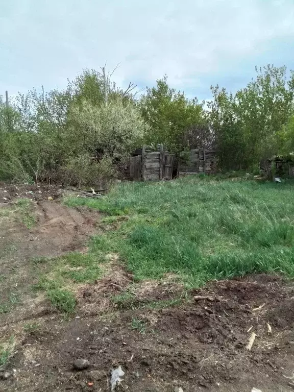 Участок в Саратовская область, с. Поповка  (8.8 сот.) - Фото 2