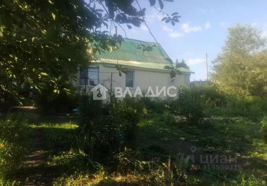 Дом в Воронежская область, Рамонский район, Новоживотинновское с/пос, ... - Фото 2