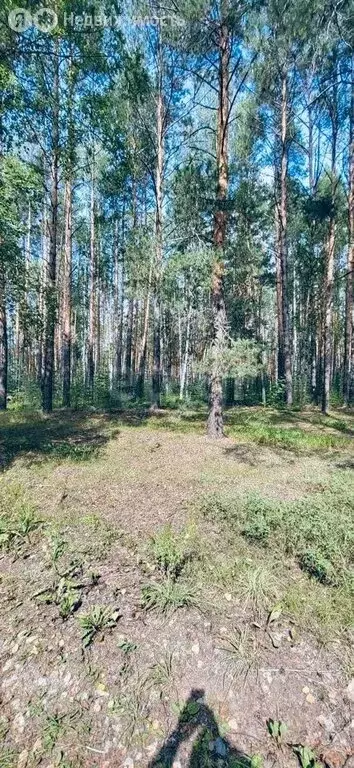 Участок в Звениговский район, городское поселение Красногорский, ... - Фото 0