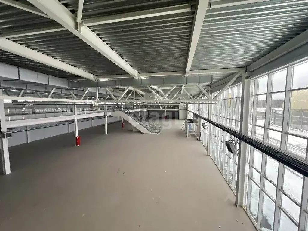 Помещение свободного назначения в Тюменская область, Тюмень ул. ... - Фото 1