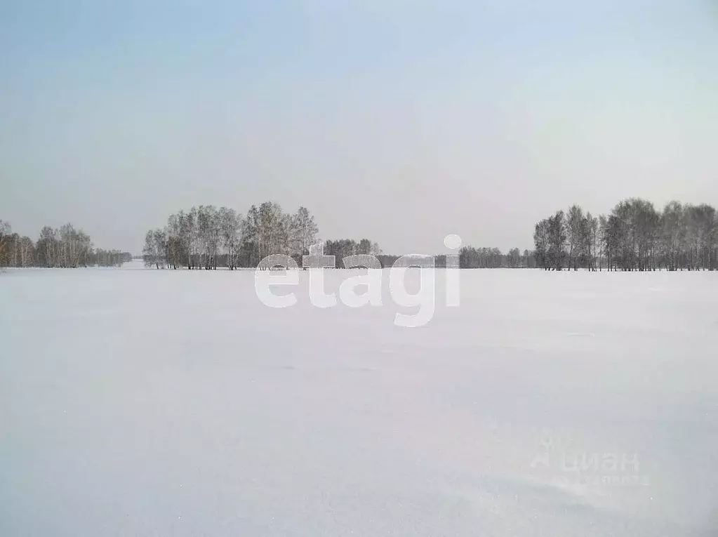 Участок в Ханты-Мансийский АО, Ханты-Мансийск Учитель-3 СОТ,  (11.6 ... - Фото 0