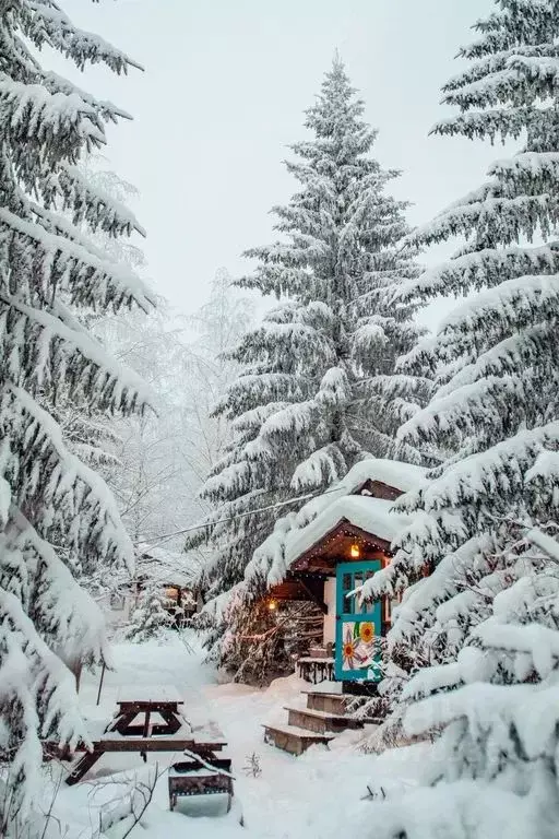 Дом в Свердловская область, Нижний Тагил городской округ, пос. Уралец ... - Фото 1