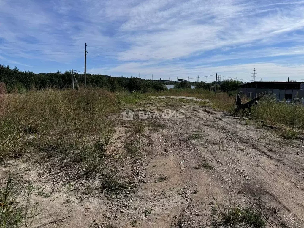 Участок в Амурская область, Благовещенский район, с. Чигири  (15.0 ... - Фото 1