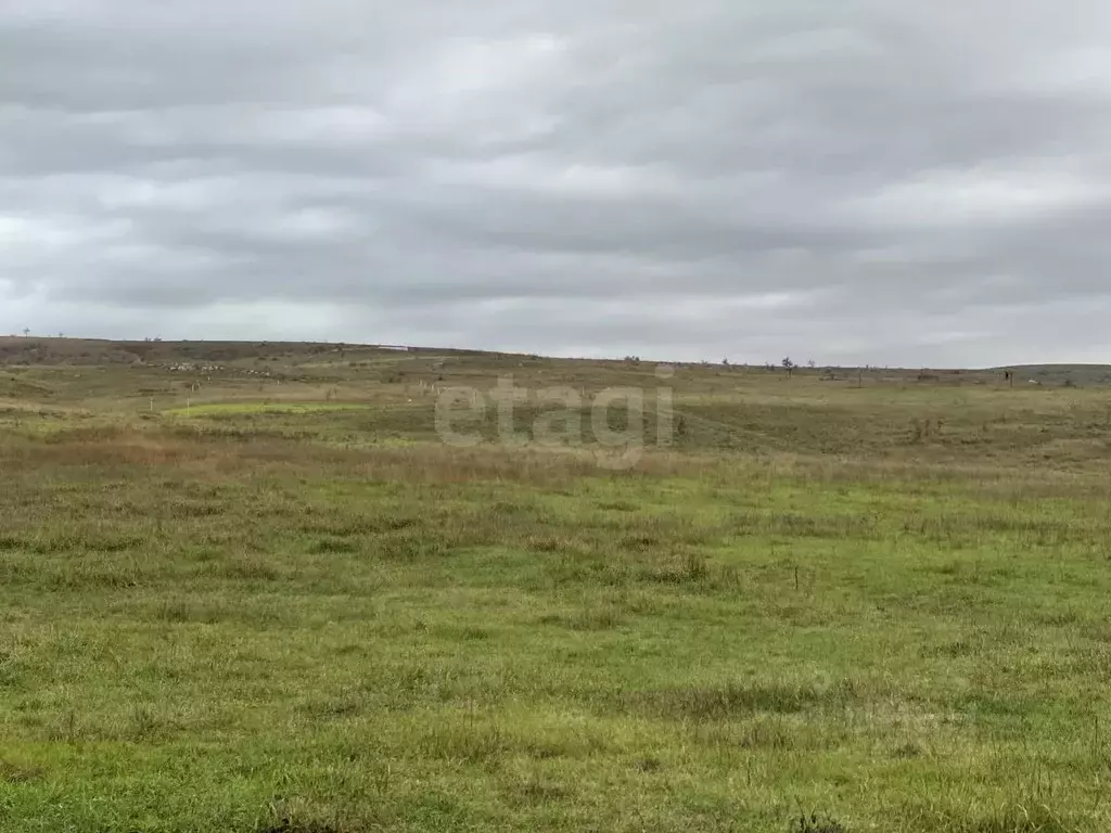 Участок в Крым, Симферопольский район, Чистенское с/пос, с. Камышинка  ... - Фото 1