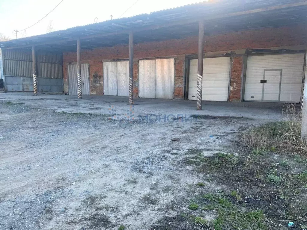 Помещение свободного назначения (243 м) - Фото 1