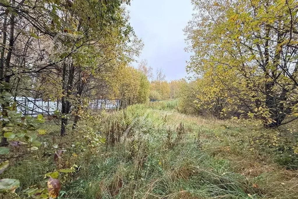 Участок в Москва Подмосковные Вечера кп, 69 (18.4 сот.) - Фото 2