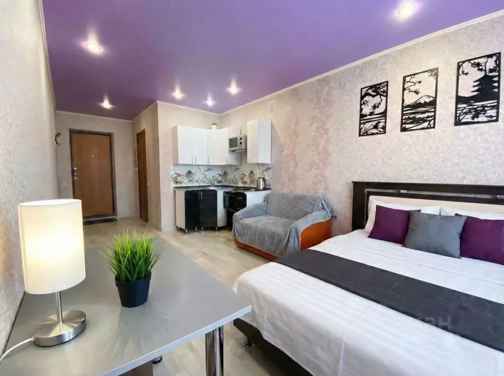 Студия Саратовская область, Саратов Огородная ул., 157 (28.0 м) - Фото 1