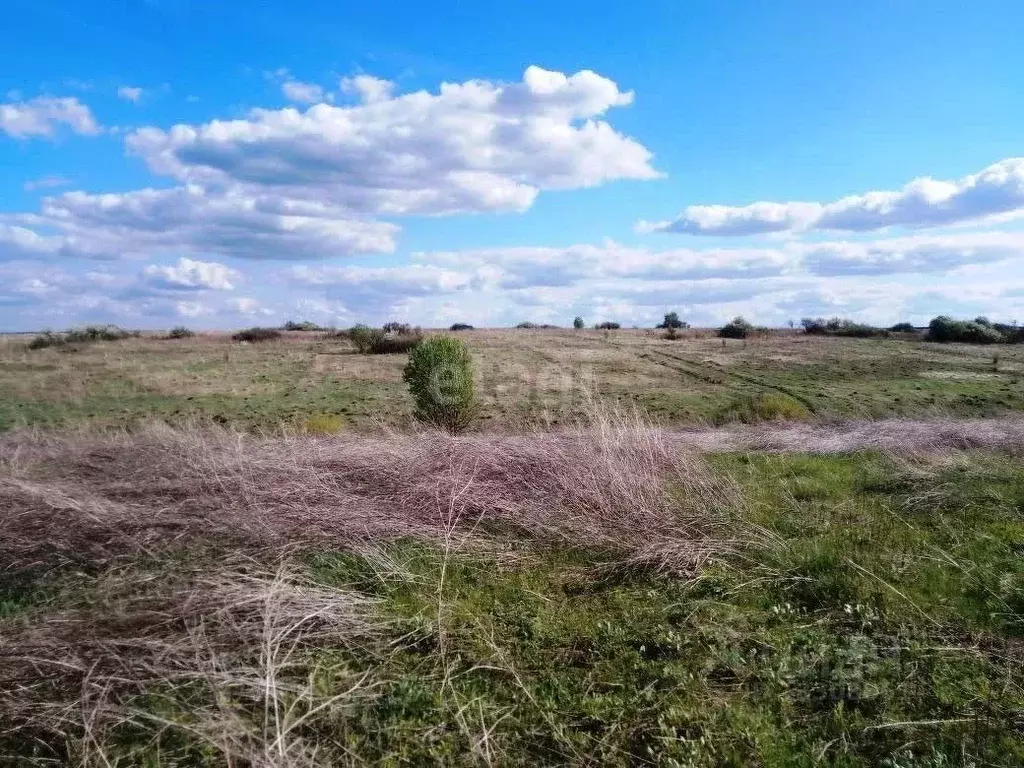 Участок в Томская область, с. Молчаново ул. Южная (35.8 сот.) - Фото 1