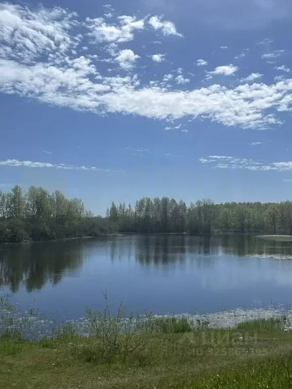 Участок в Новгородская область, Новгородский район, Панковское ... - Фото 1