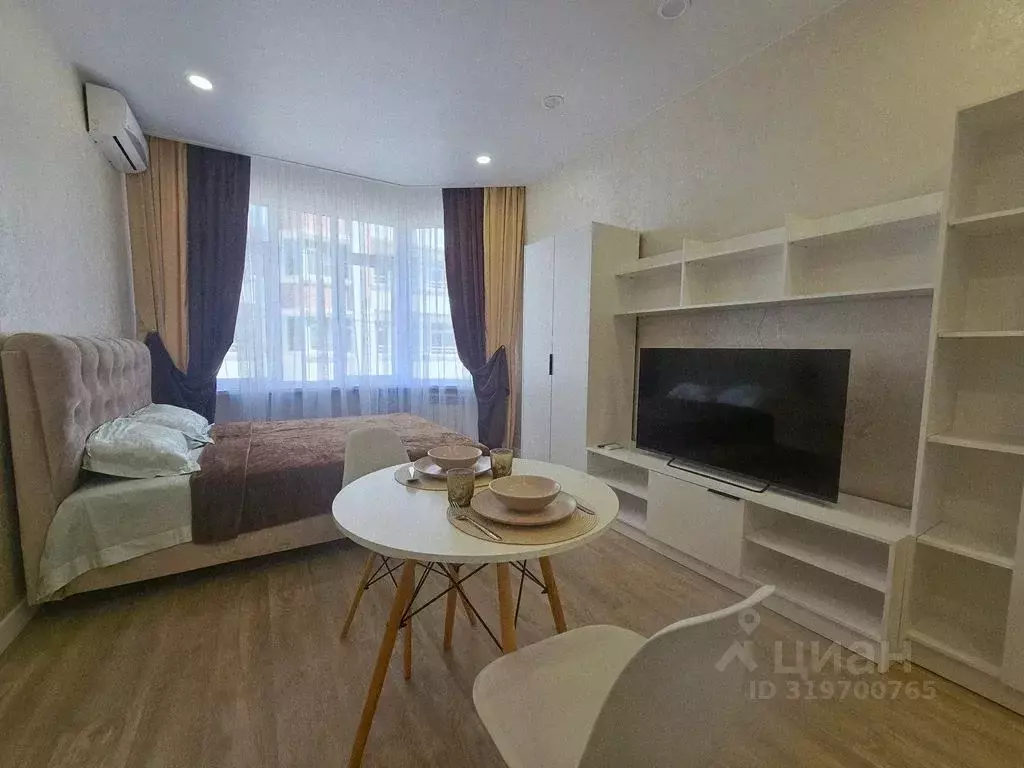 Студия Краснодарский край, Сочи ул. Ленина, 290/7к2 (25.0 м) - Фото 0